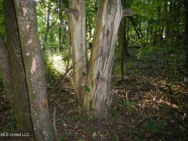 $249,500 | 330 Honeycutt Road, Yazoo City, MS 39194