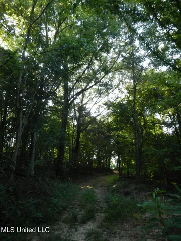 $249,500 | 330 Honeycutt Road, Yazoo City, MS 39194