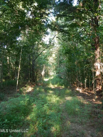 $249,500 | 330 Honeycutt Road, Yazoo City, MS 39194