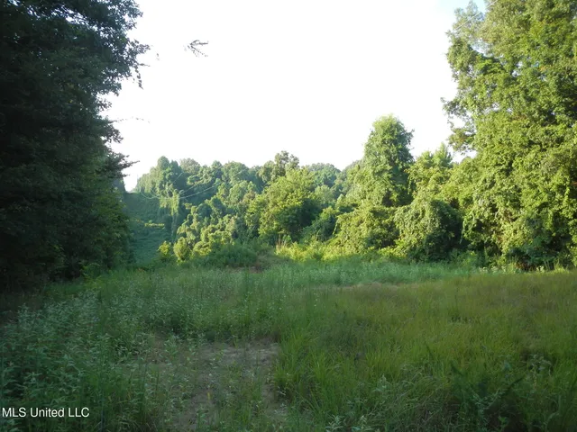 $249,500 | 330 Honeycutt Road, Yazoo City, MS 39194