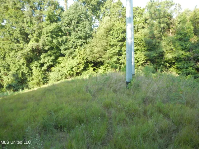 $249,500 | 330 Honeycutt Road, Yazoo City, MS 39194