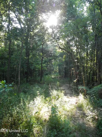 $249,500 | 330 Honeycutt Road, Yazoo City, MS 39194