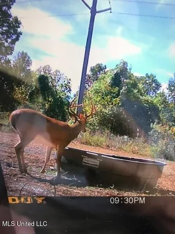 $249,500 | 330 Honeycutt Road, Yazoo City, MS 39194