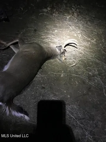 $249,500 | 330 Honeycutt Road, Yazoo City, MS 39194