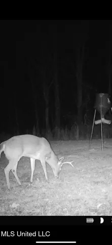 $249,500 | 330 Honeycutt Road, Yazoo City, MS 39194