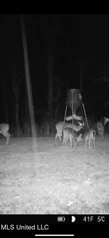 $249,500 | 330 Honeycutt Road, Yazoo City, MS 39194