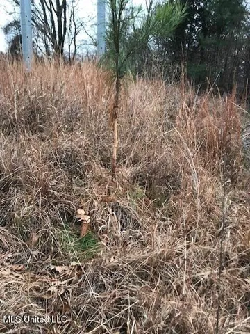 $249,500 | 330 Honeycutt Road, Yazoo City, MS 39194