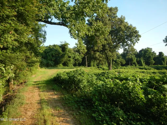 $249,500 | 330 Honeycutt Road, Yazoo City, MS 39194