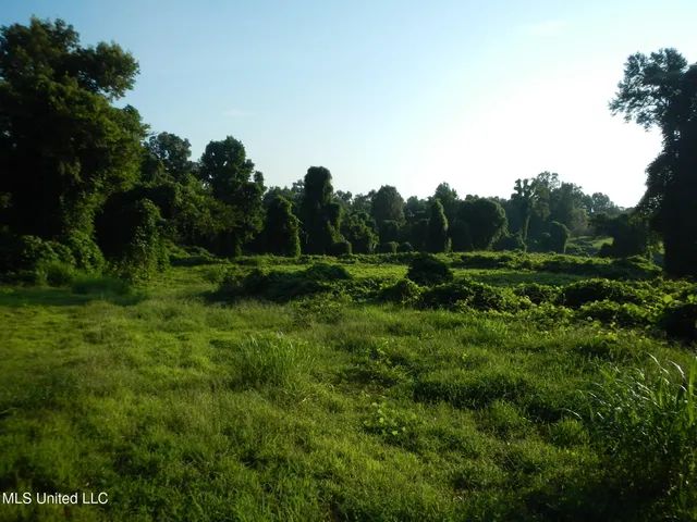 $249,500 | 330 Honeycutt Road, Yazoo City, MS 39194