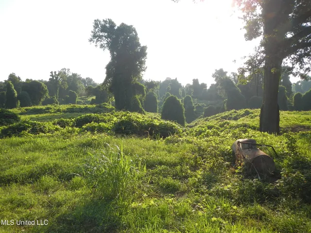 $249,500 | 330 Honeycutt Road, Yazoo City, MS 39194