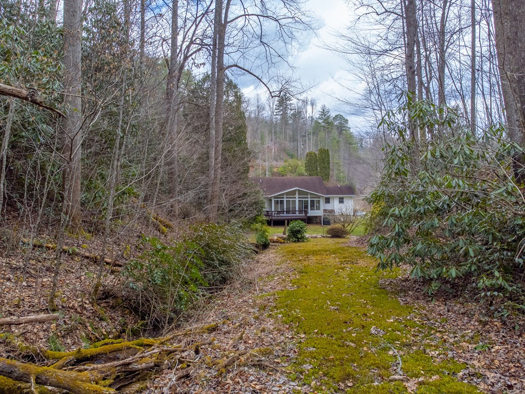 1107 Panther Creek Road Almond, NC 28702 - Photo 43 of 52