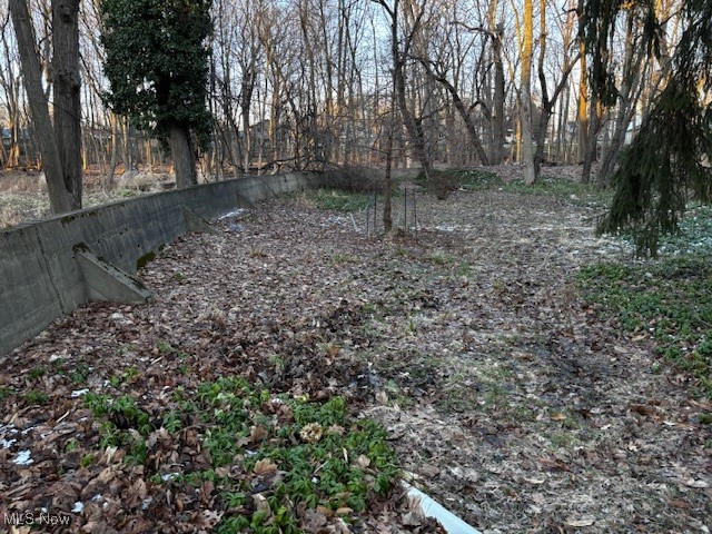 4577 Emerson Road South Euclid, OH 44121 - Photo 48 of 48 View of yard and retaining wall - flood plain