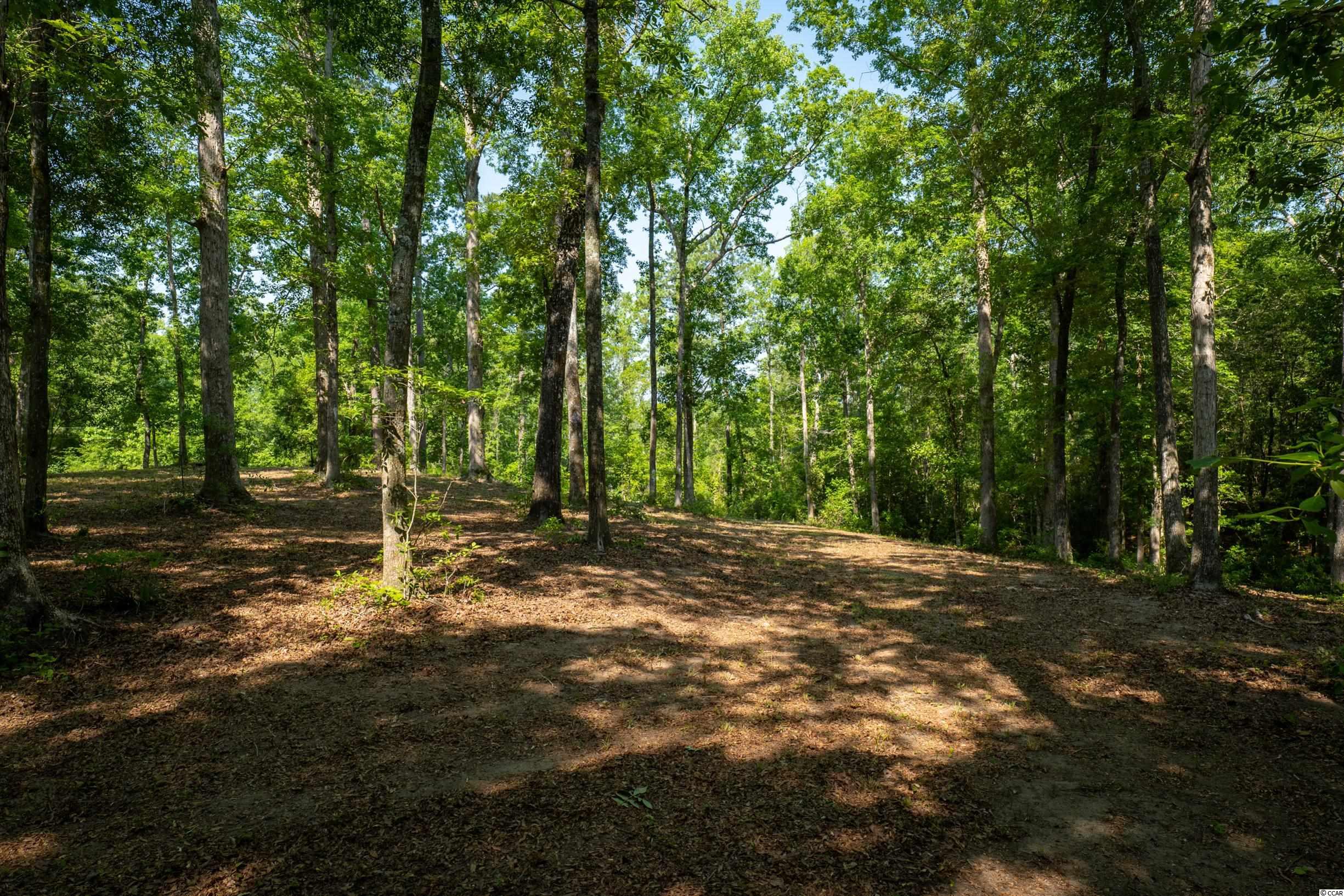 Tbd Francis Marion Drive Georgetown, SC 29440 - Photo 10 of 28
