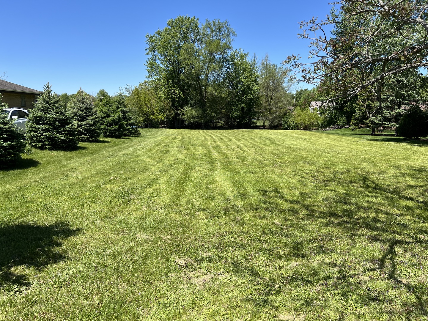 806 Plainfield Road Downers Grove, IL 60516 - Photo 13 of 16 a view of green field with trees in the background