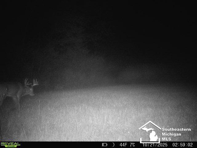 13343 Ostrander Road Maybee, MI 48159 - Photo 19 of 19