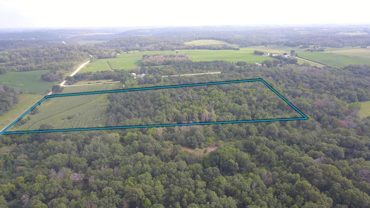 Tbd Northwest Tbd Nw New Haven Road Pine Island, MN 55963 - Photo 3 of 12