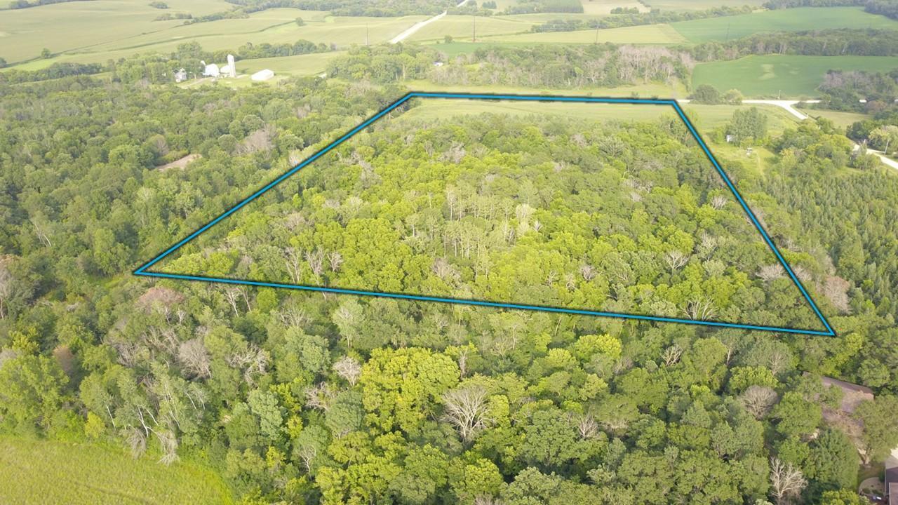 Tbd Northwest Tbd Nw New Haven Road Pine Island, MN 55963 - Photo 5 of 12