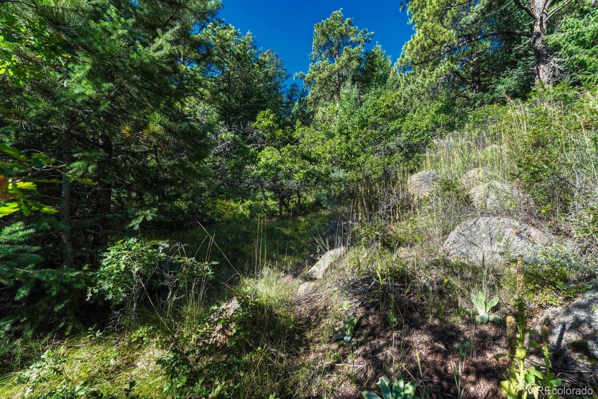 0 Columbine Road Larkspur, CO 80118 - Photo 17 of 37 Gallery Image 17