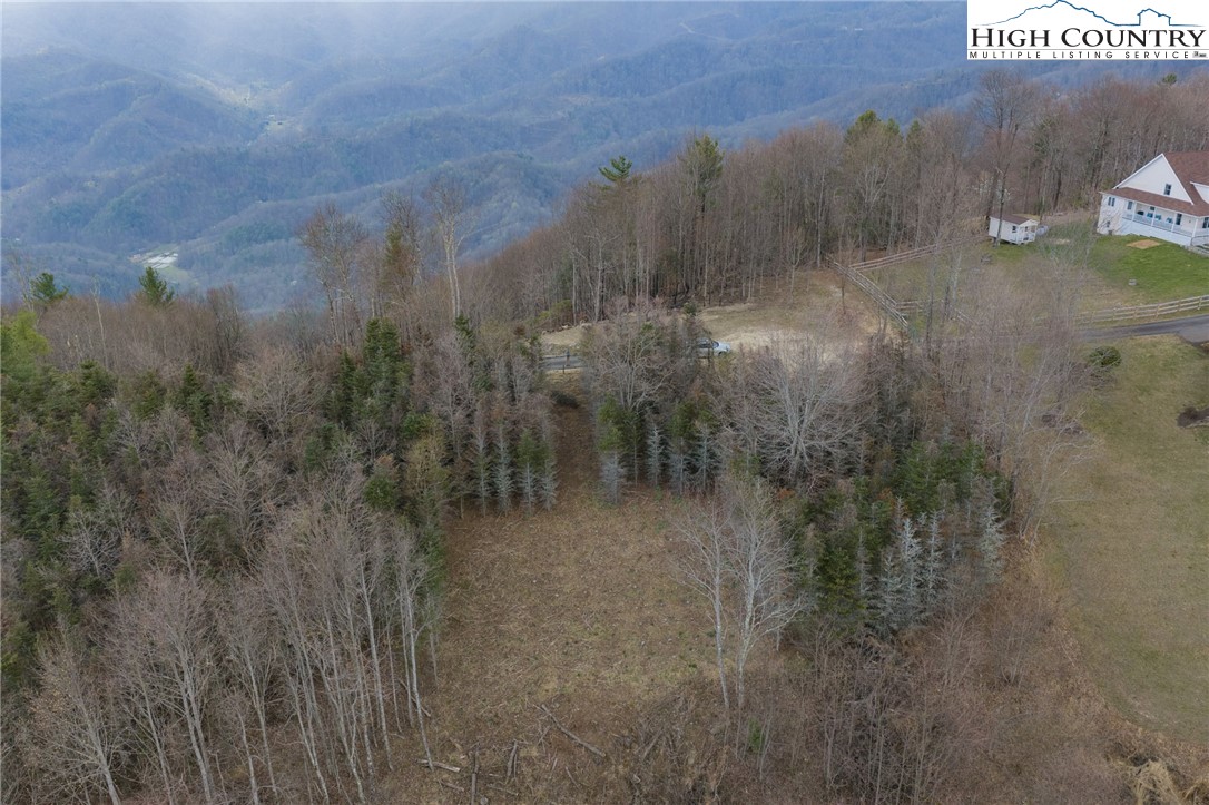 Lot 150 Angel Fire Trail Dobson, NC 27017 - Photo 11 of 27 a view of a forest with a house