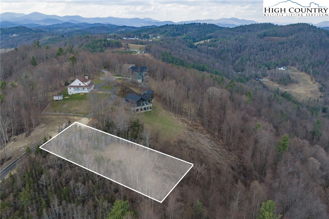 Lot 150 Angel Fire Trail Dobson, NC 27017 - Photo 15 of 27 a view of a lush green forest