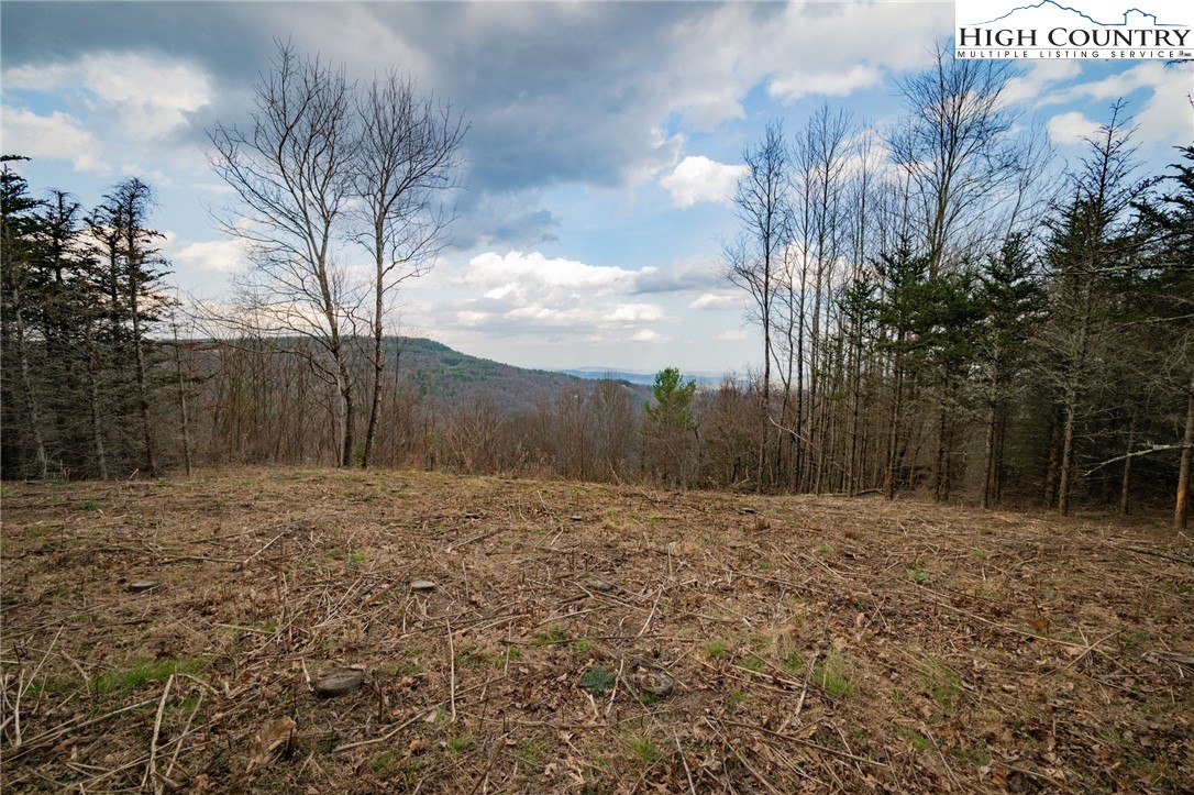 Lot 150 Angel Fire Trail Dobson, NC 27017 - Photo 2 of 27 a big yard with lots of green space