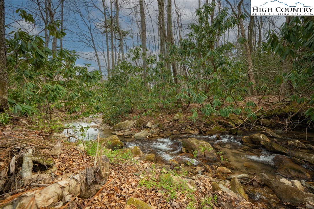 Lot 150 Angel Fire Trail Dobson, NC 27017 - Photo 23 of 27 a view of a garden