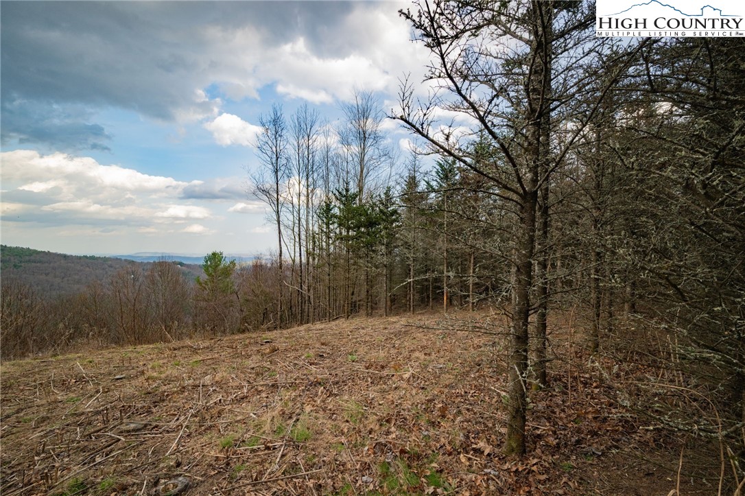 Lot 150 Angel Fire Trail Dobson, NC 27017 - Photo 5 of 27