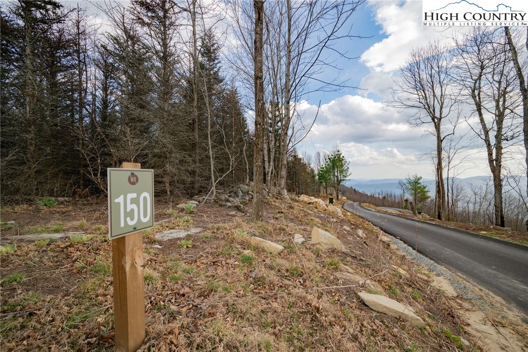 Lot 150 Angel Fire Trail Dobson, NC 27017 - Photo 7 of 27 a street view with large trees