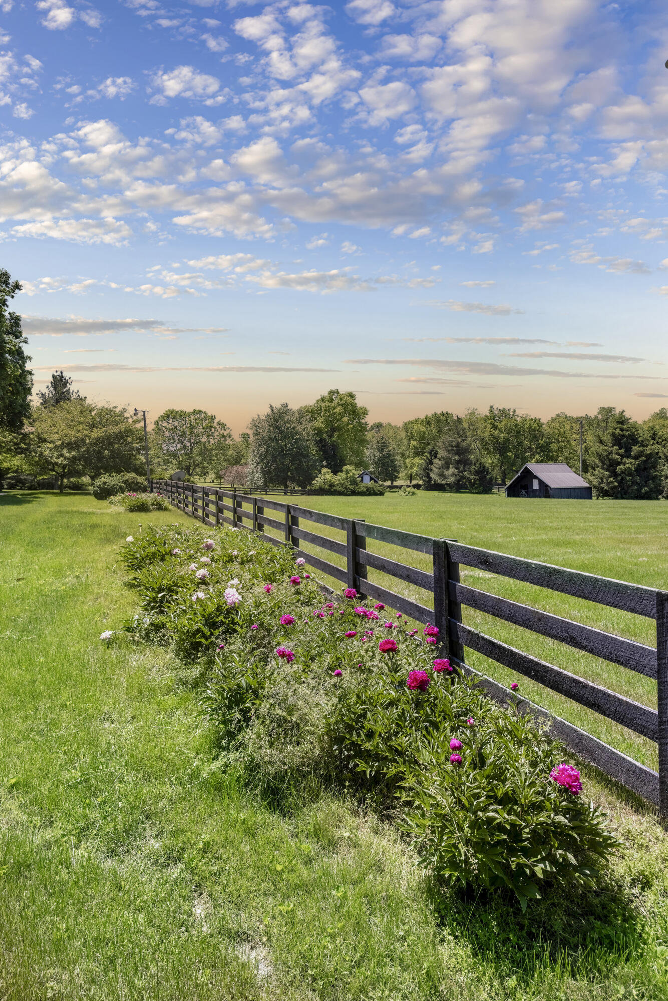 430 Irvin Road Danville, KY 40422 - Photo 121 of 130 2Y0A4359 (1)