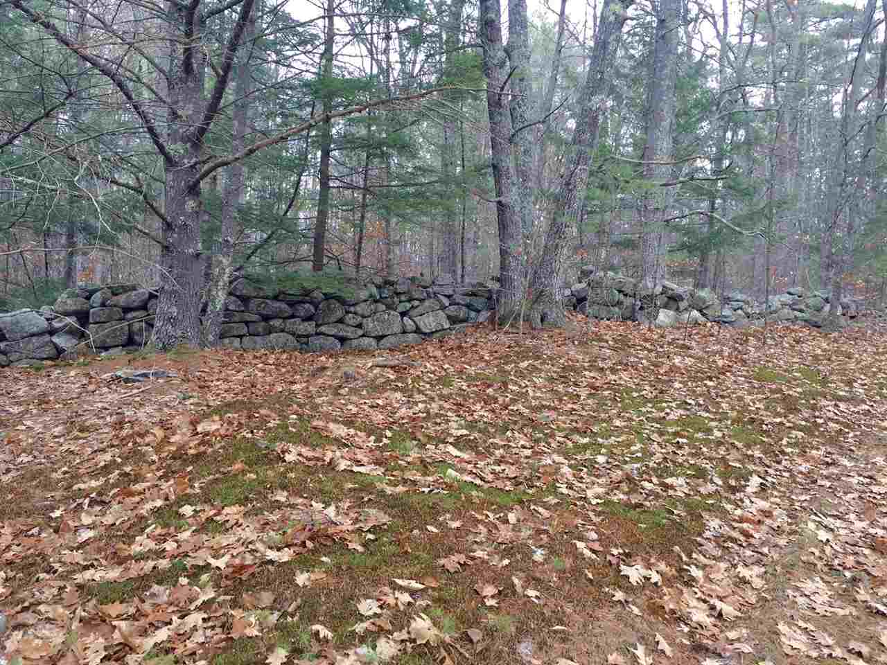 Lot R06-48 Lot R06-48 Straits Road New Hampton, NH 03256 - Photo 8 of 21