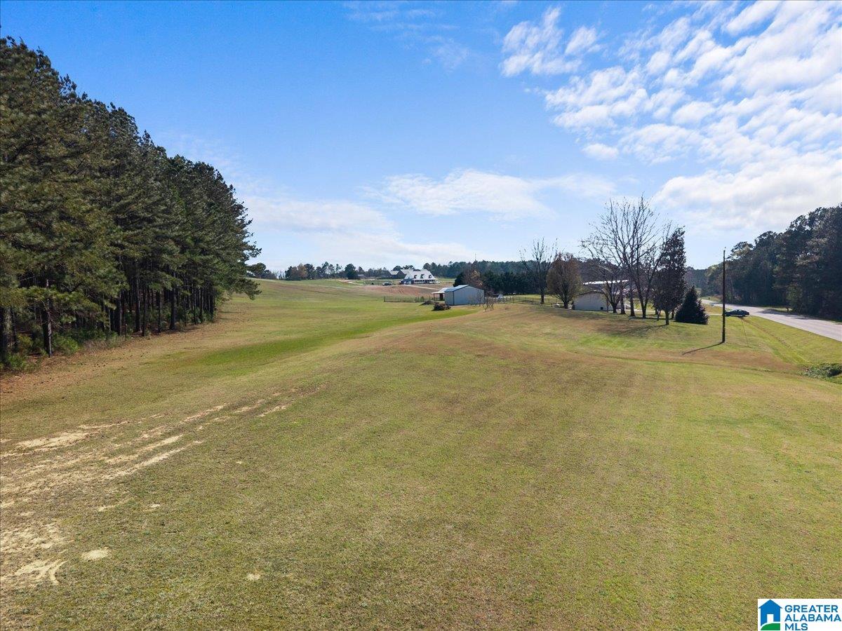 5743 County Highway 27 Springville, AL 35146 - Photo 22 of 46