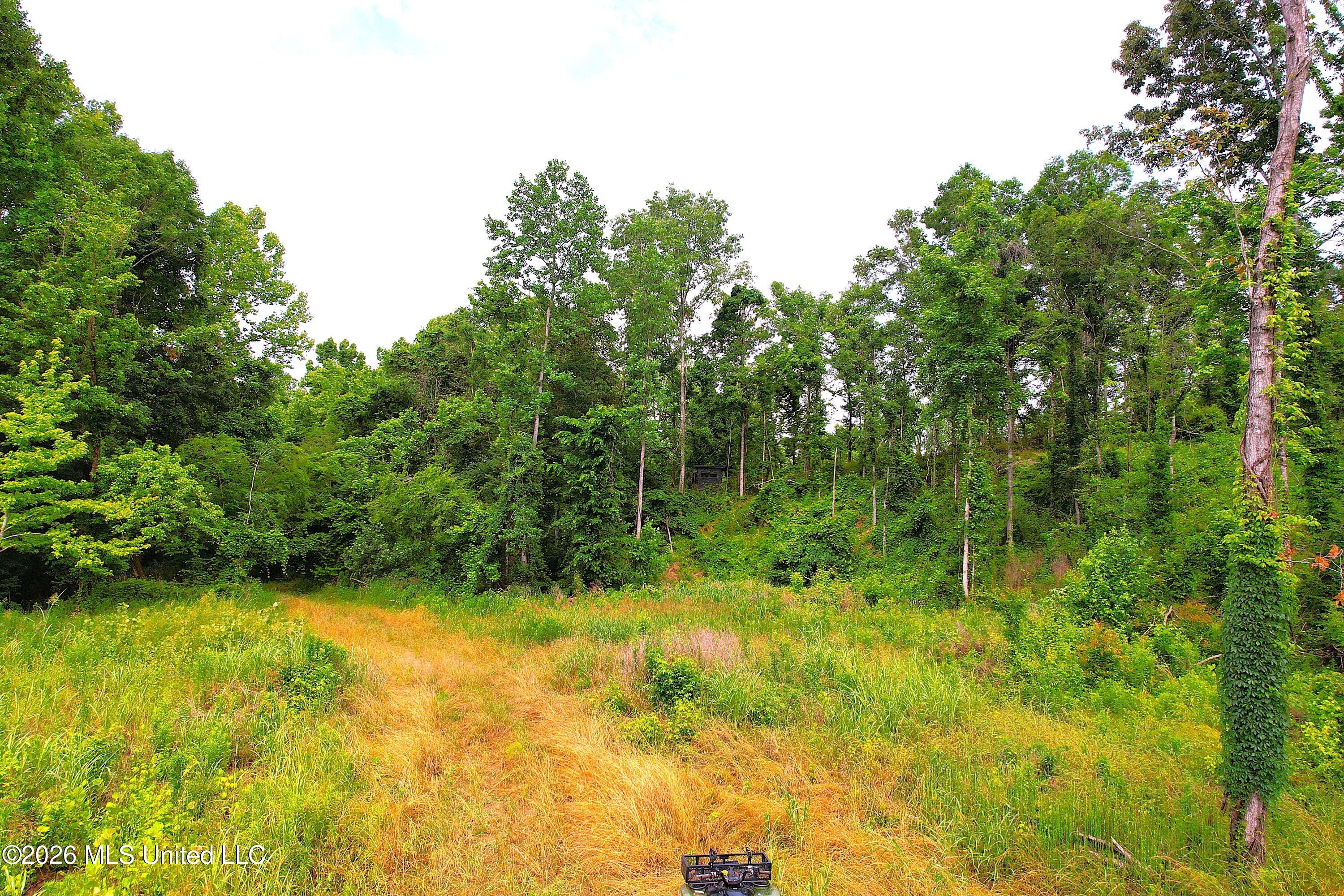 1181 Gowall Road Vicksburg, MS 39183 - Photo 2 of 43 DJI_0492