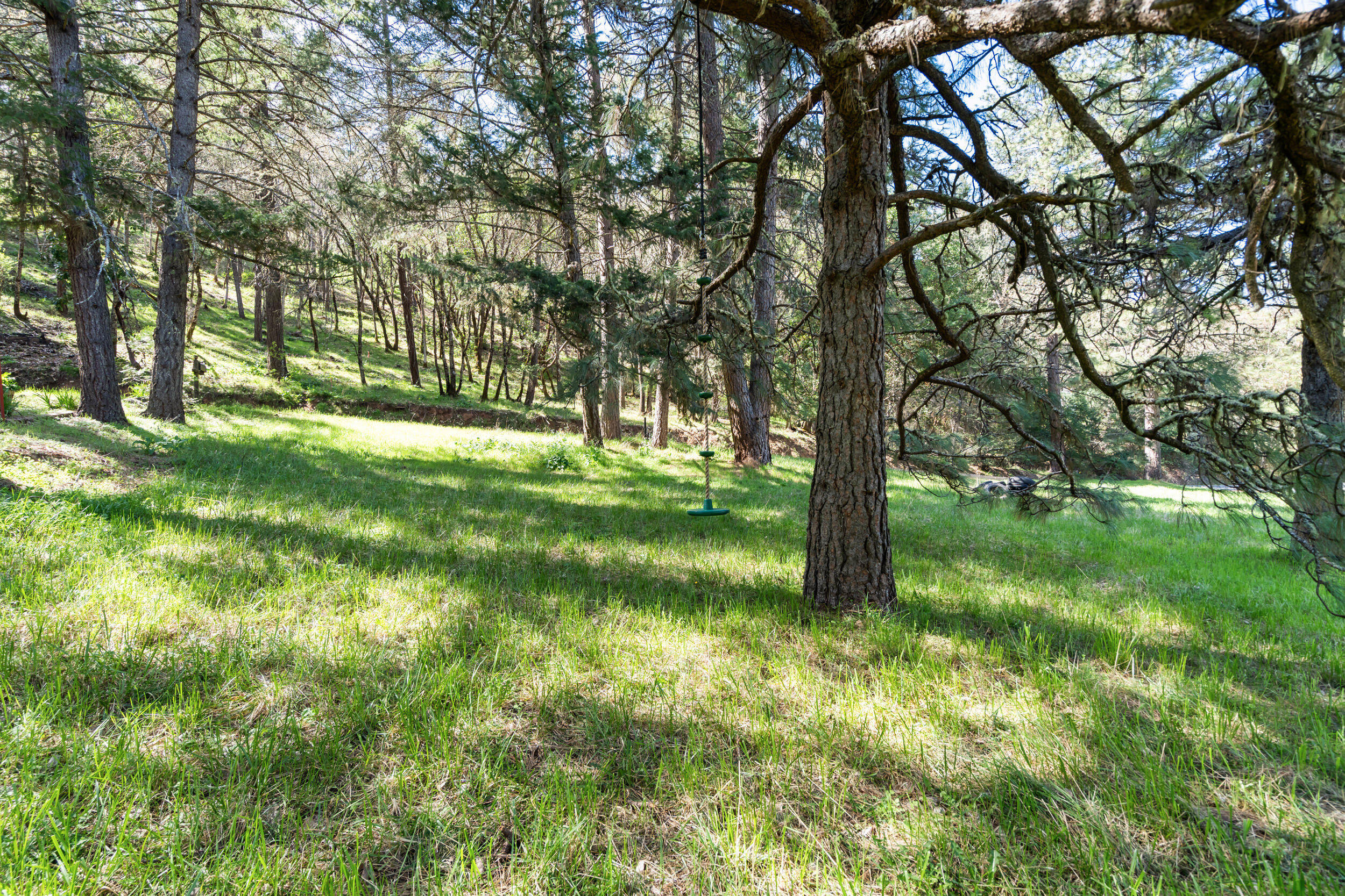 1237 Daisy Creek Road Jacksonville, OR 97530 - Photo 6 of 31 1237-daisy-creek-rd-06