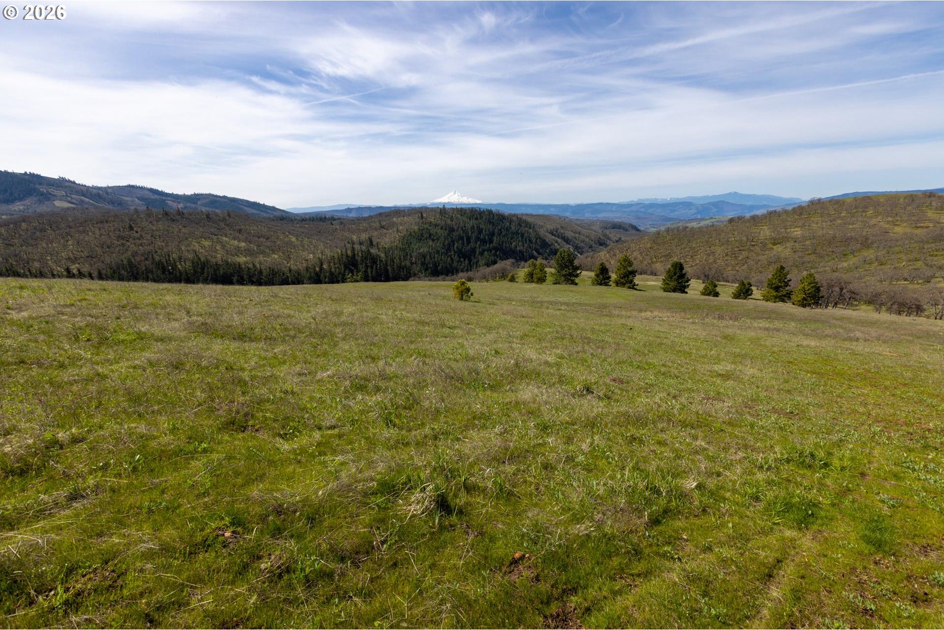 60 Hartwig Road Lyle, WA 98635 - Photo 28 of 44 Gallery Image 28