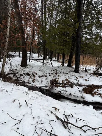 $30,000 | 7 7 Mile Road, Stanwood, MI 49346