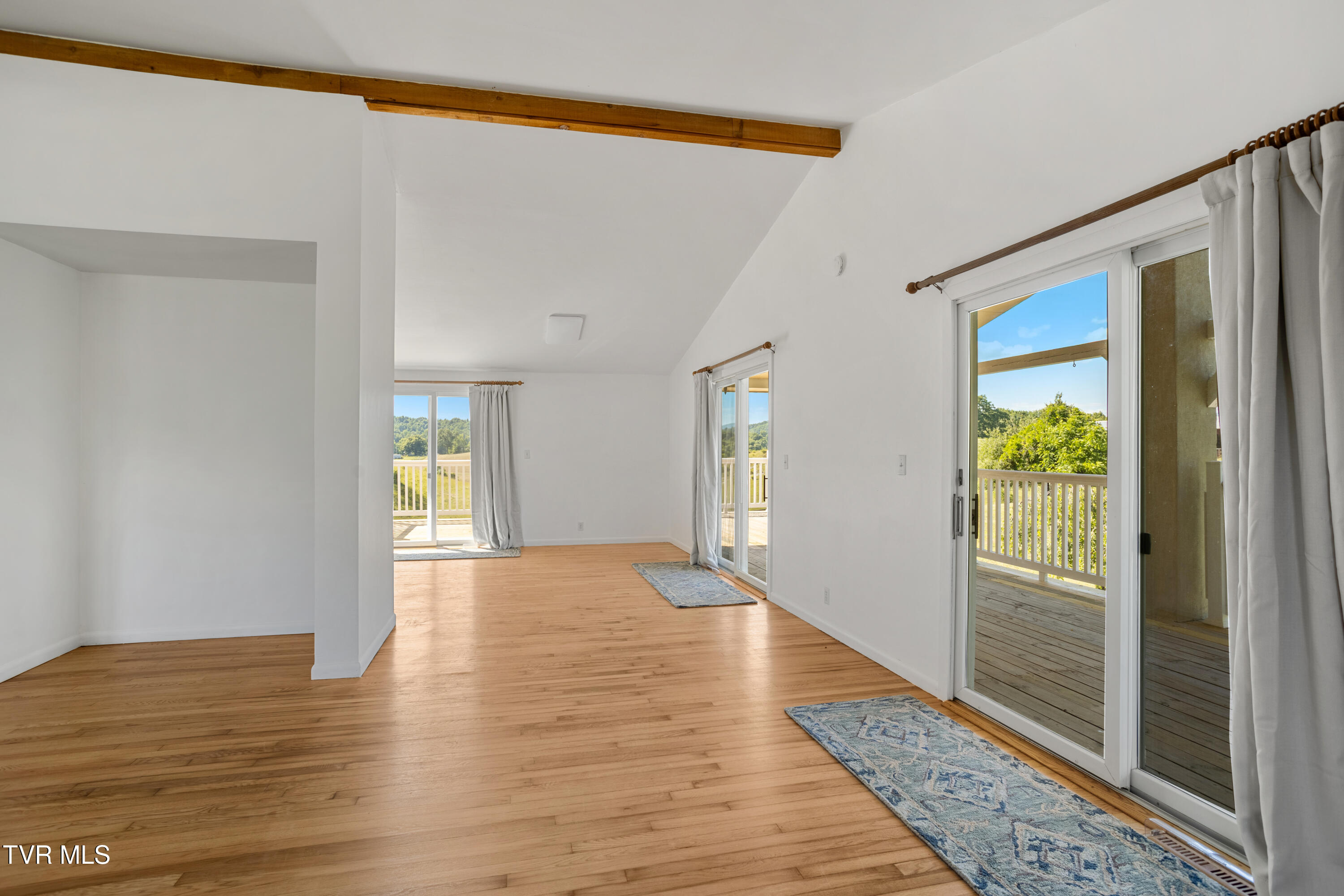 27363 Fudge Road Meadowview, VA 24361 - Photo 20 of 83 177A4332-HDR