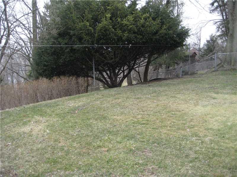 Land. level backyard fenced on 2 sides with trees at the back.. flowers to the side grow annually.