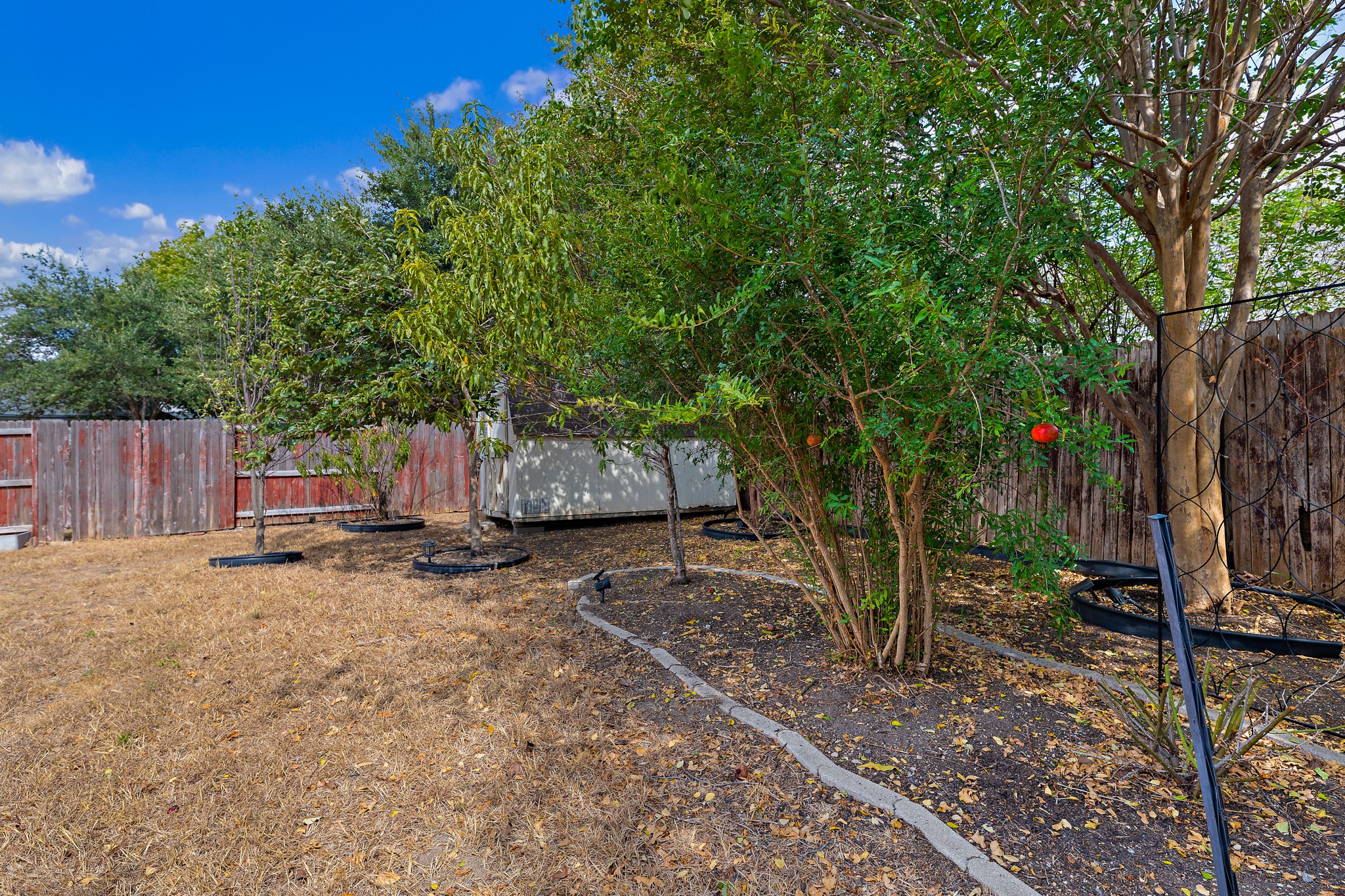 1208 Lochaline Loop Pflugerville, TX 78660 - Photo 39 of 40 Landscaped with Pear, jujube, peach, and pomegranate trees!