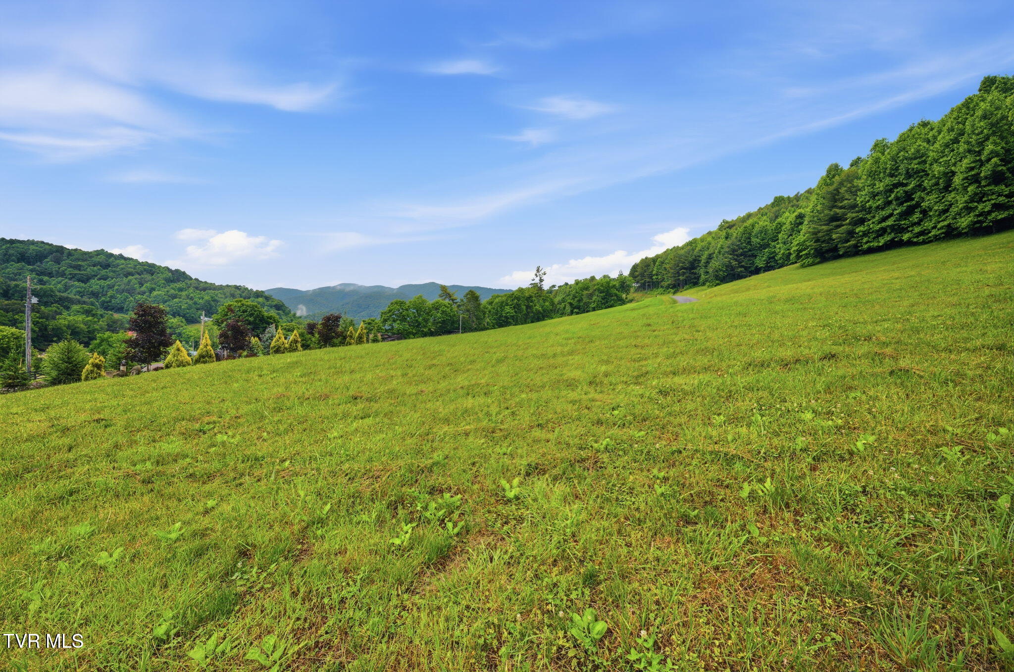 Lot 4 Eagle Rdg Parkway, Unit 4 Butler, TN 37640 - Photo 5 of 16 18-web-or-mls-EXT_9149 (1)
