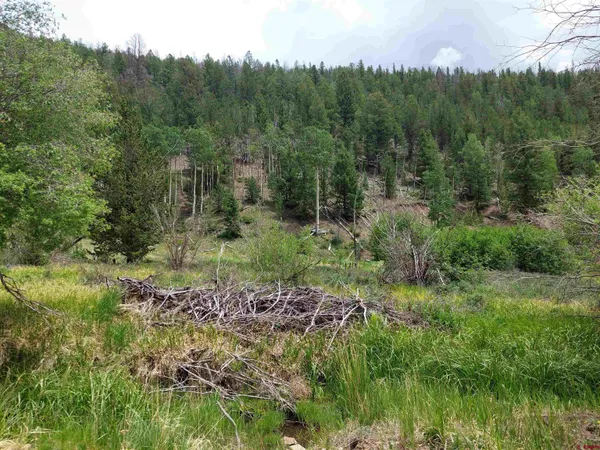 $28,900 | 0 Lots 1-4 Block 4, Villa Grove, CO 81155