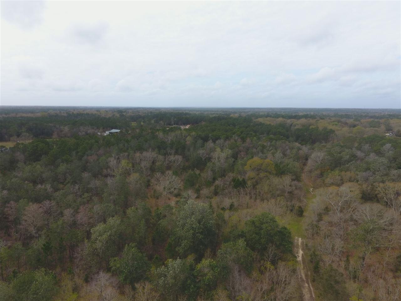 7900 Chellie Road Pensacola, FL 32526 - Photo 9 of 22 Gallery Image 9