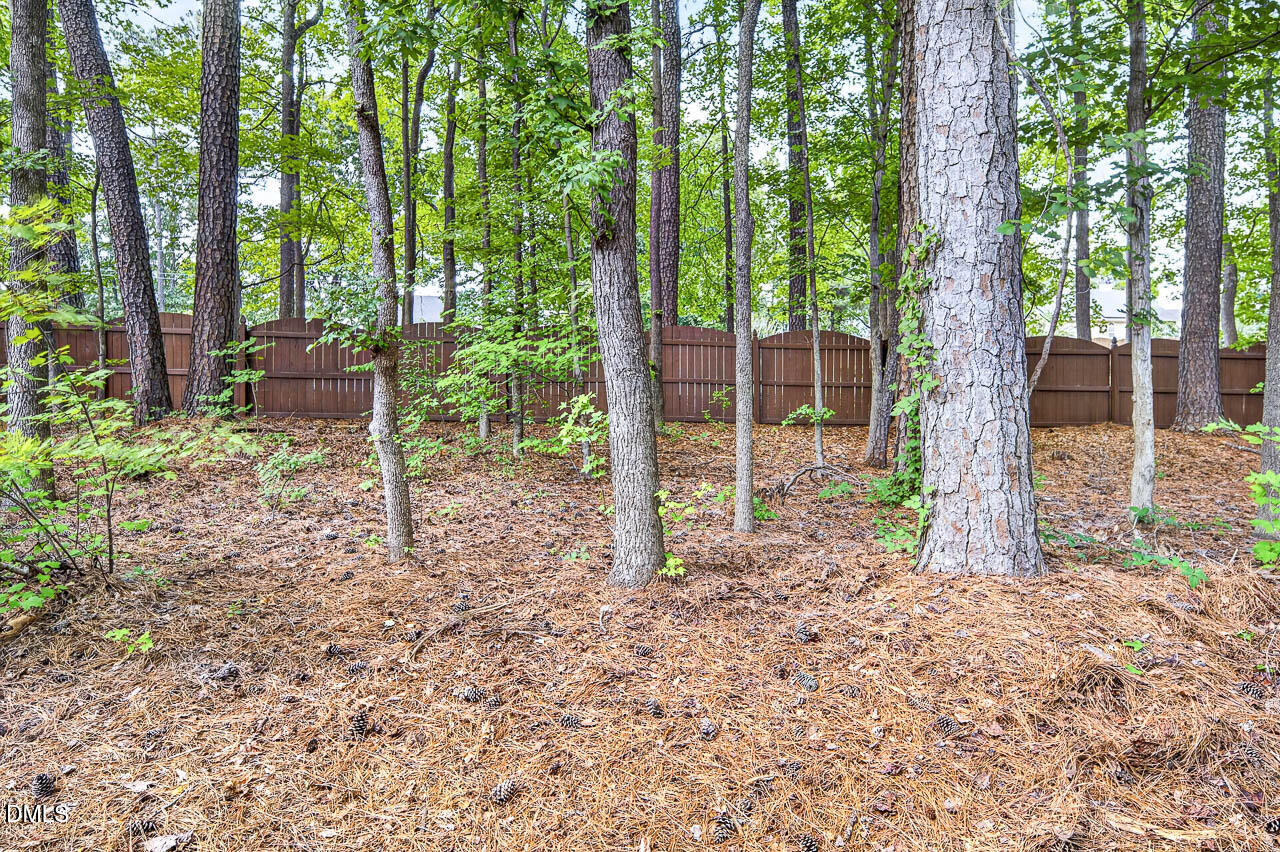 5620 Slide Rock Lane Raleigh, NC 27613 - Photo 5 of 34 5620 Slide Rock Ln-24 backyard