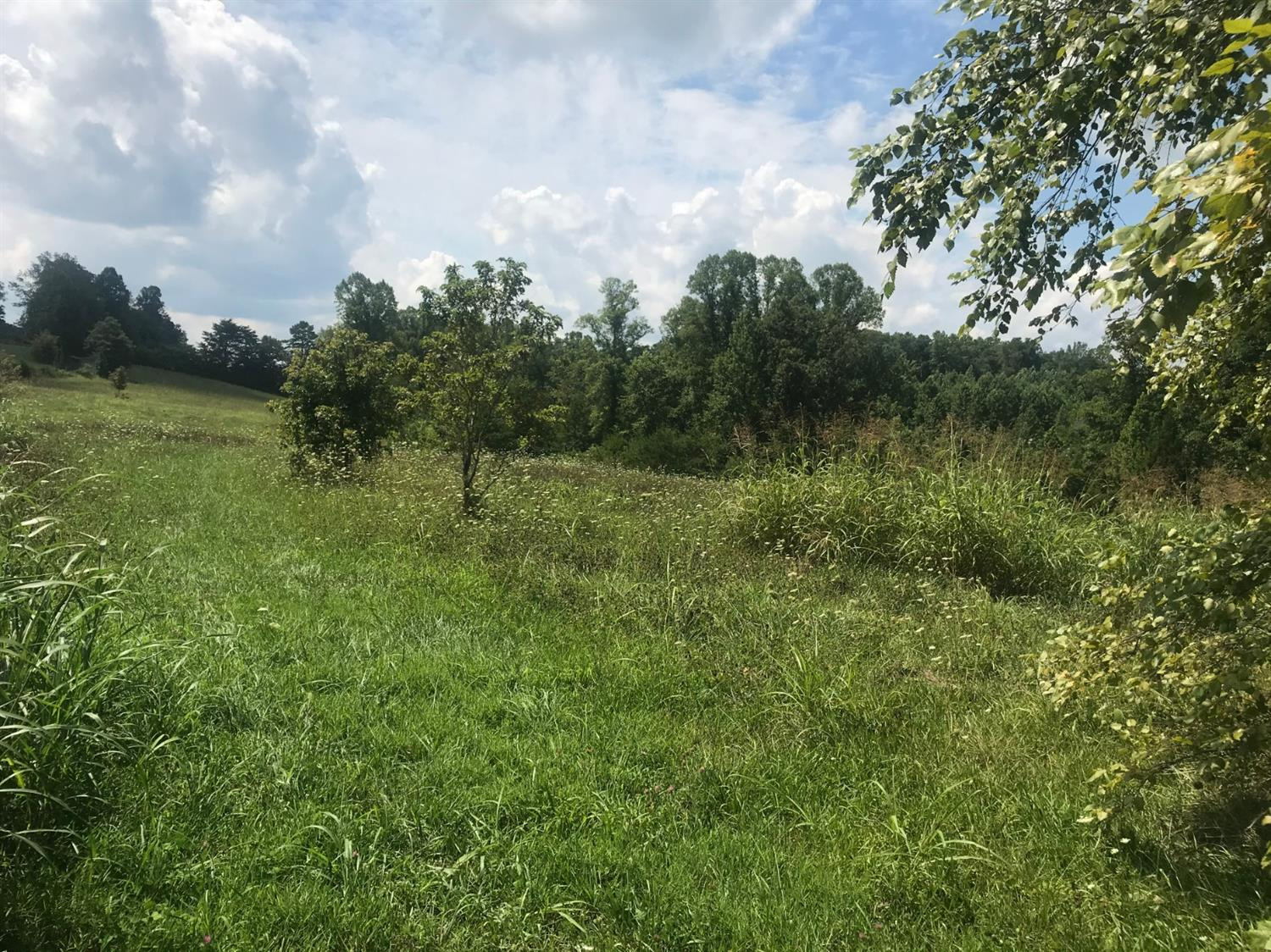 467 Whitson School Road London, KY 40741 - Photo 9 of 16 Photo 9