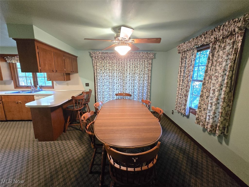 715 Minerva Road Magnolia, OH 44643 - Photo 13 of 26 Dining area featuring dark carpet and a ceiling fan