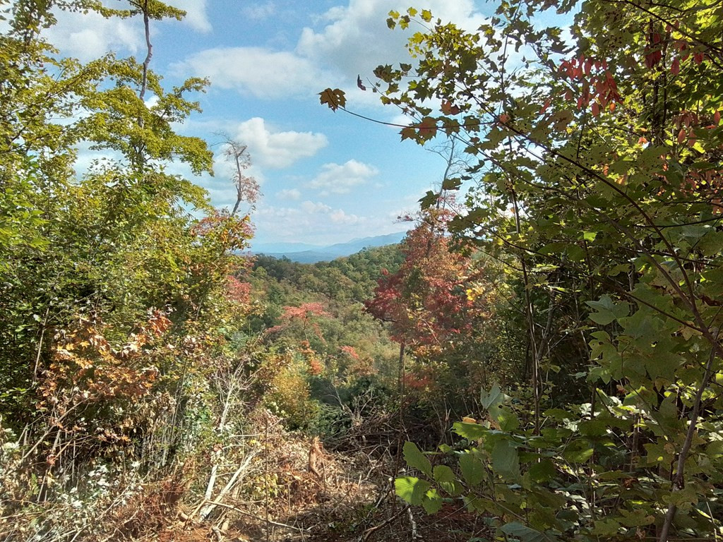 End Of Tanglewood Ridge Murphy, NC 28906 - Photo 6 of 38