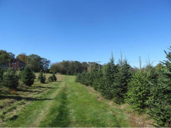 434 Hornetown Road Farmington, NH 03835 - Photo 24 of 32 Gallery Image 24