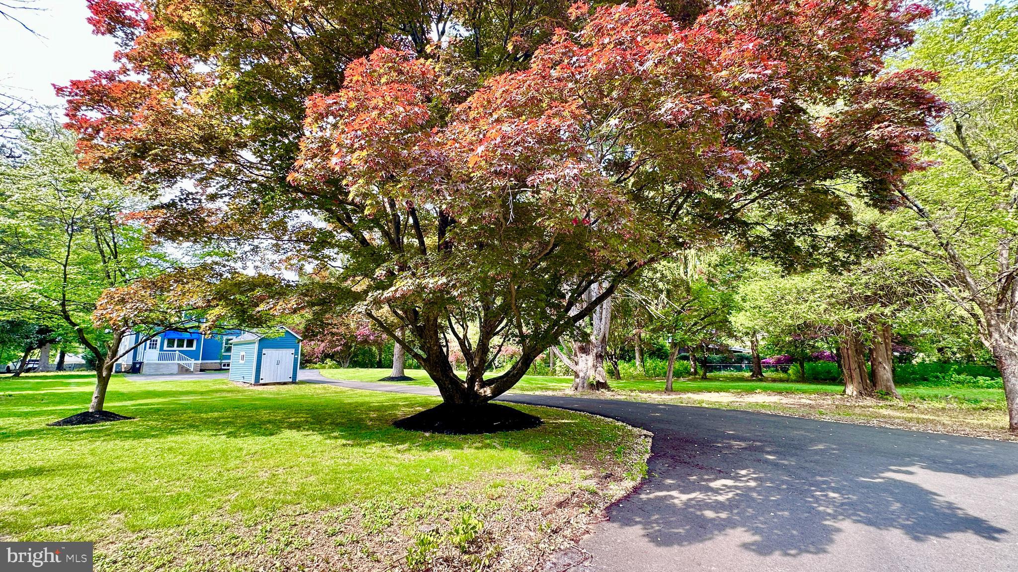 944 Lawrenceville Road Princeton, NJ 08540 - Photo 40 of 48