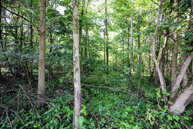 $325,000 | Vl Tucker Road, Eaton Rapids, MI 48827