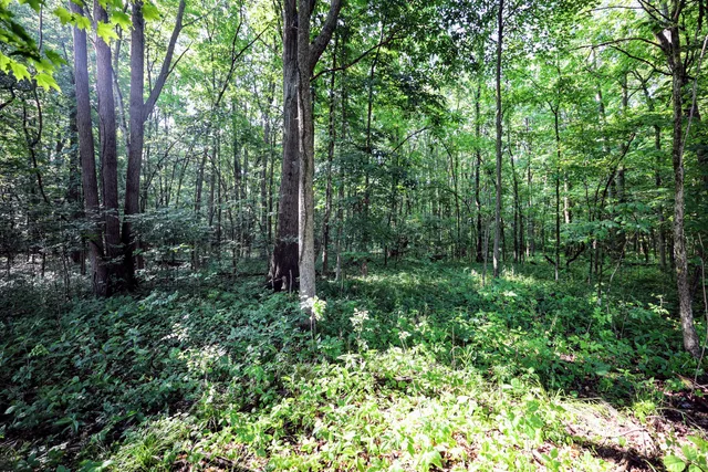 $325,000 | Vl Tucker Road, Eaton Rapids, MI 48827