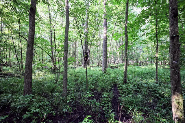 $325,000 | Vl Tucker Road, Eaton Rapids, MI 48827